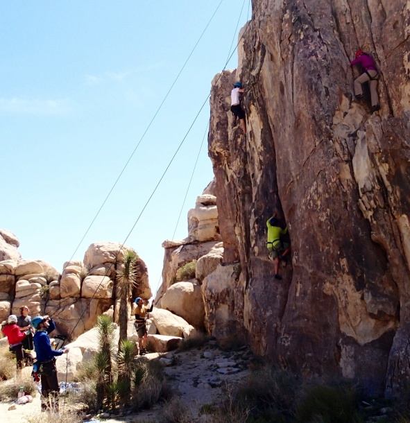 Joshua Tree Rock Climbing - Family and Groups